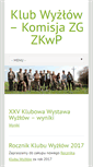 Mobile Screenshot of klubwyzlow.pl